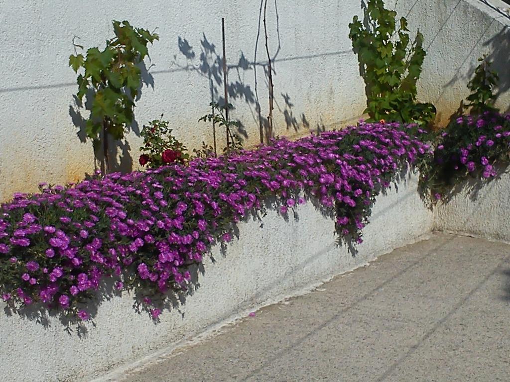 Guest House Vukusic Crikvenica Exterior photo